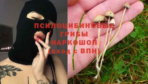 крисы Киров