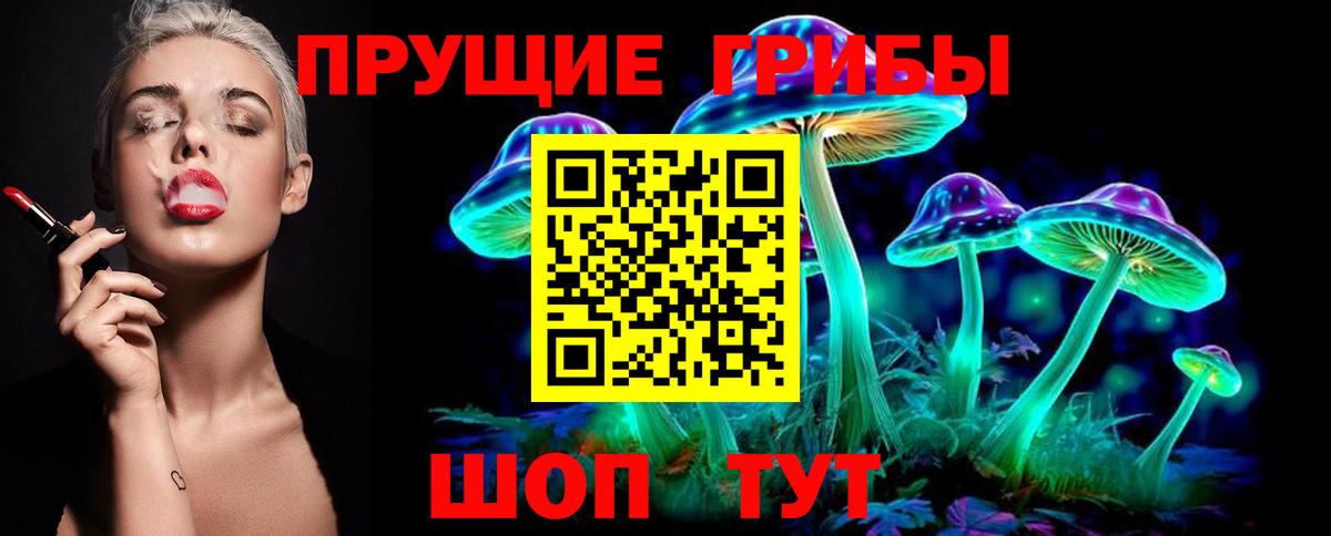 Пенза  Галлюциногенные грибы Magic Shrooms  Вход с VPN 